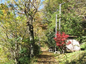 藤野神社方面