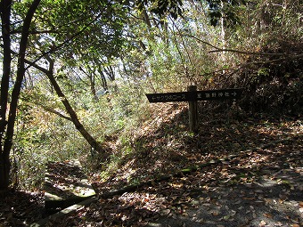 サクラコース　⇔　藤野神社