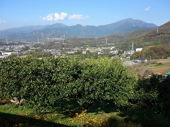 表尾根～大山