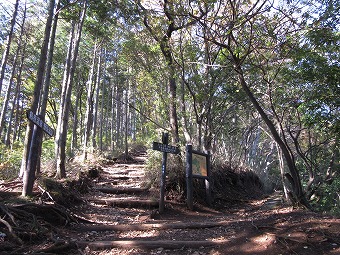 善波峠分岐