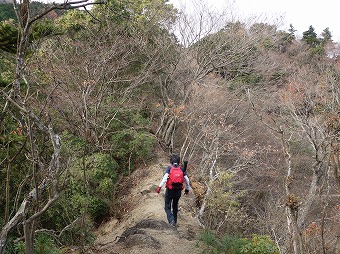 ヤセ尾根