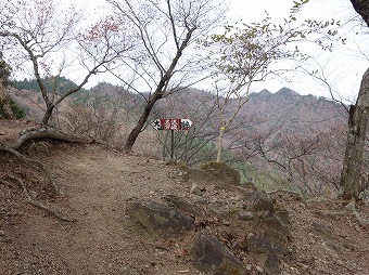 大沢分岐