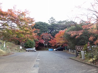 梅ノ木尾根入口