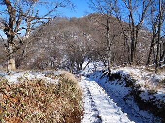 塔ノ岳へ