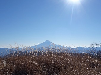 富士山