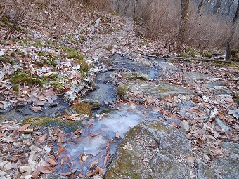 沢沿い道