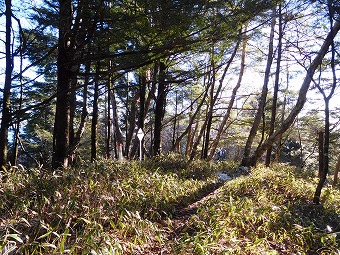 熊沢山山頂