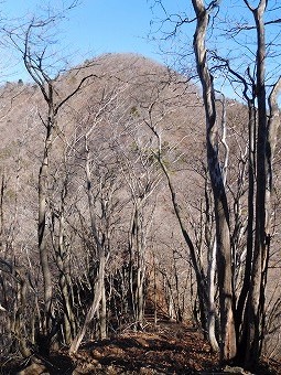 米沢山へ