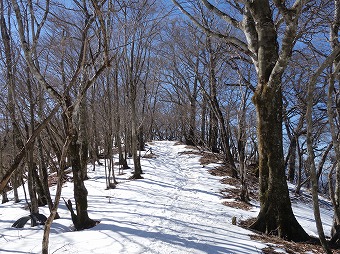 小丸へ