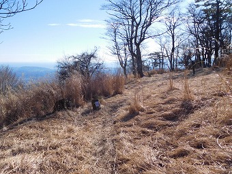 櫟山