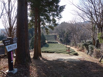 土佐原・宇津茂分岐