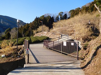 寄ロウバイ園