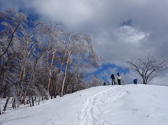 鷹ノ巣山　山頂