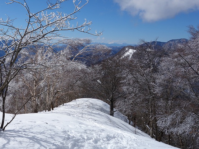 鷹ノ巣山