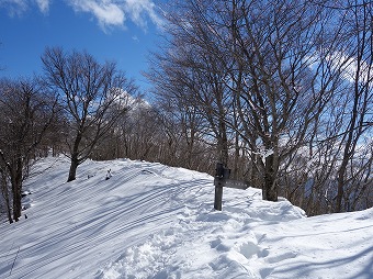 榧ノ木尾根分岐