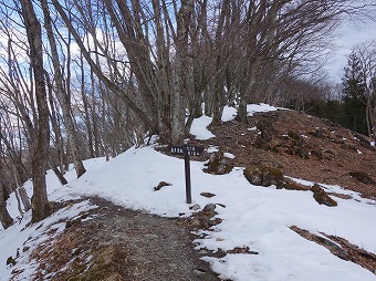 三ノ木戸山分岐