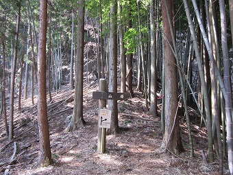 山居分岐