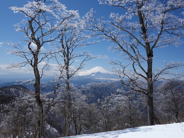 霧氷と富士山