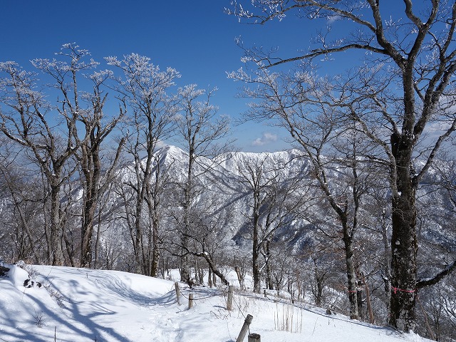 蛭ヶ岳～丹沢山