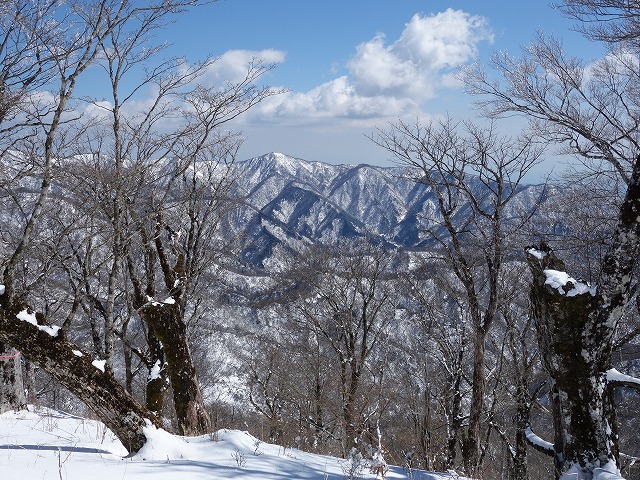 塔ノ岳も白い