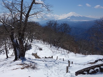 富士山