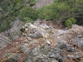 東稜コース