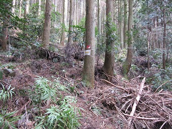 籠岩・北ノ峯　取付点