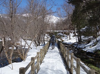 大正池遊歩道