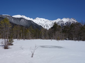 田代湿原