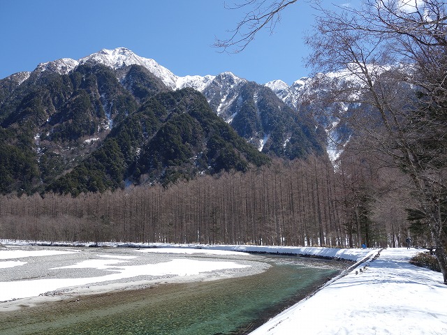 六百山とカラマツ林