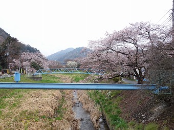 上椚田橋