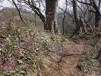 雨乞山分岐