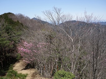 蕨山