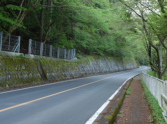 高ワラビ尾根の入口