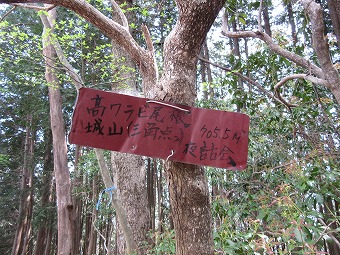 高ワラビ尾根　城山