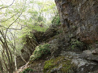 高ワラビ尾根