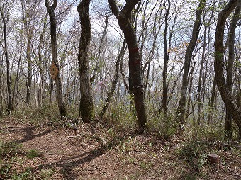 岩戸ノ峰