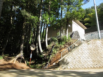 ワラビタタキ（赤鞍ヶ岳）登山口