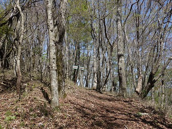 巌道峠分岐