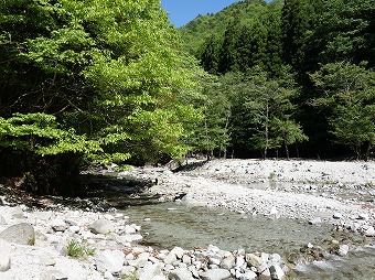 西沢の右岸から左岸