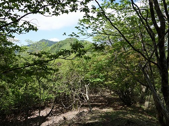 水晶沢ノ頭へ