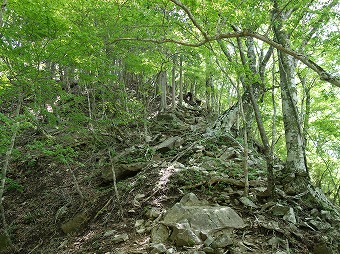 ヤブ沢ノ頭へ