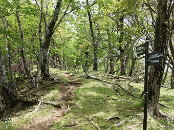 石棚山