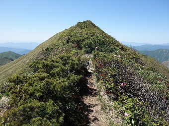 ヤセ尾根