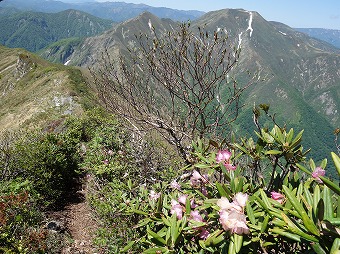 仙ノ倉山見つつ