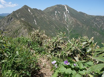 仙ノ倉山眺めつつ