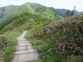 平標山の家まで続く階段道