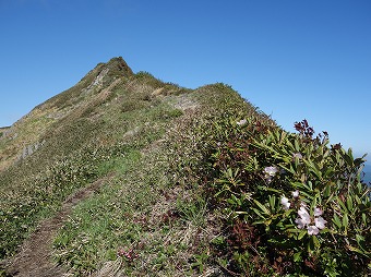 谷川主脈