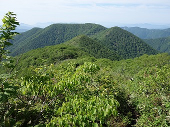 三国山へ