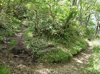 三国山　巻き道分岐